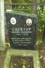 Спектор Евгения Яковлевна, Москва, Востряковское кладбище